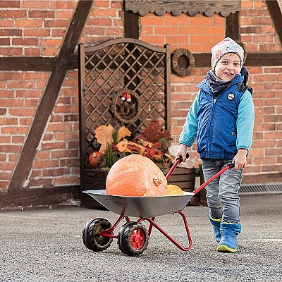 Laste hall kaherattaline metallist käru Rolly Toys