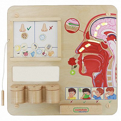 Masterkidz Educational Smell Sensory Board