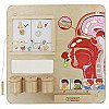 Masterkidz Educational Smell Sensory Board