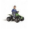 Peg Perego Quad 12V Quad Corral T-Rex 330W