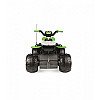 Peg Perego Quad 12V Quad Corral T-Rex 330W