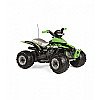 Peg Perego Quad 12V Quad Corral T-Rex 330W